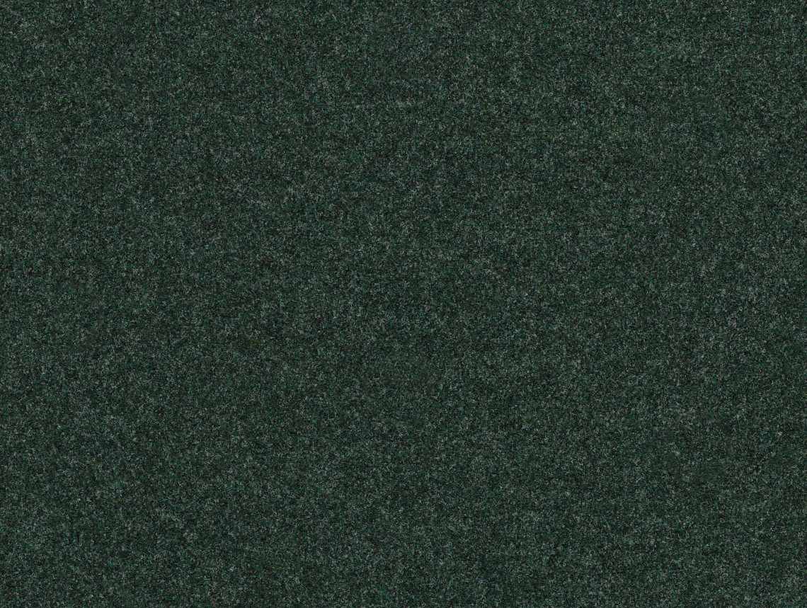 Forte Color у рулоні - 96018 forest